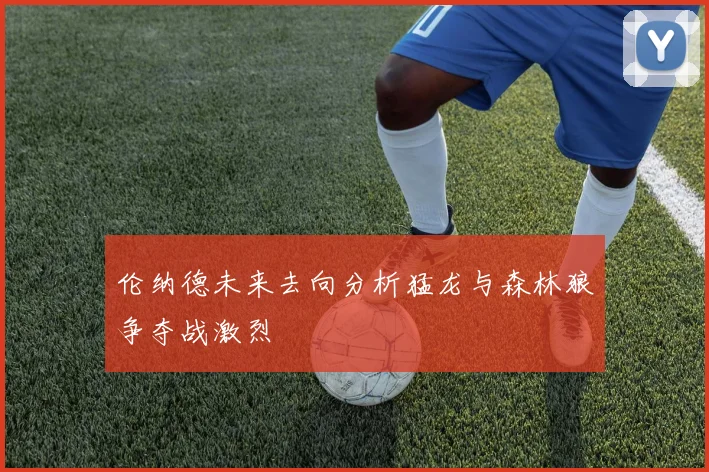 伦纳德未来去向分析猛龙与森林狼争夺战激烈